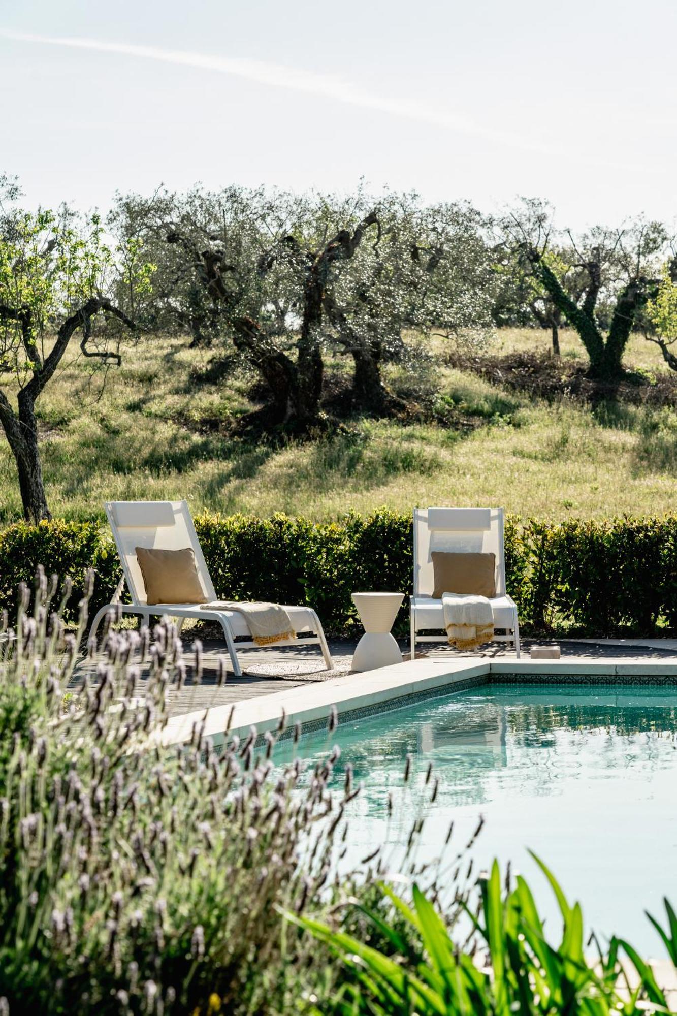 Trullo Zaira Villa อัลเบโรเบลโล ภายนอก รูปภาพ